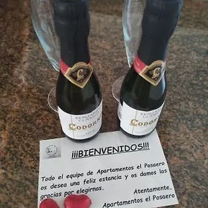 https://apartamentos-el-posaero.es-andalucia.com